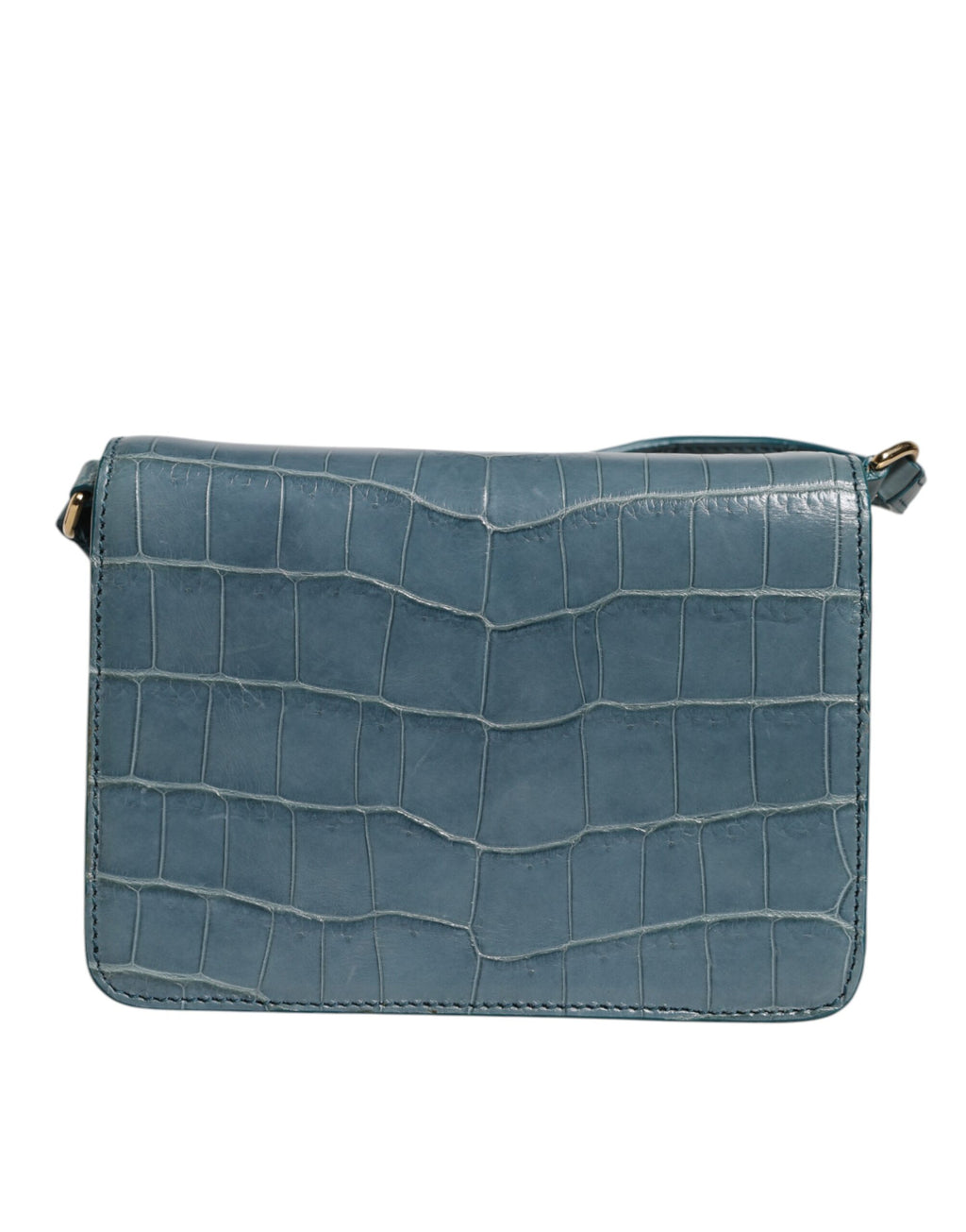 Minibolsa transversal Dolce & Gabbana de couro exótico verde com placa DG