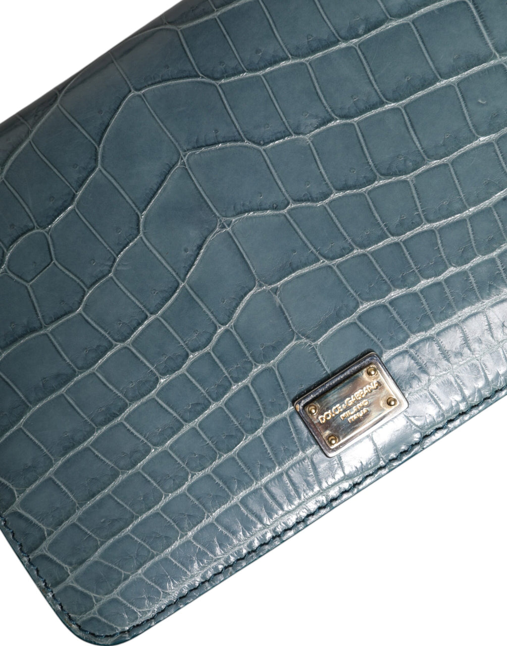 Minibolsa transversal Dolce & Gabbana de couro exótico verde com placa DG